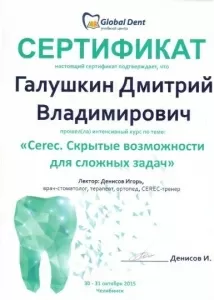 Галушкин Дмитрий Владимирович