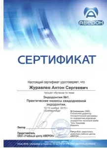 Журавлев Антон Сергеевич