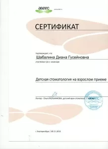 Савченюк Диана Гусейновна