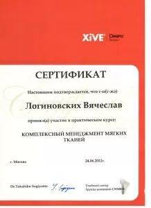 Логиновских Вячеслав Васильевич