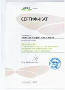 Мальцев Андрей Николаевич