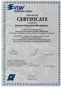 Евсеева Анастасия Михайловна