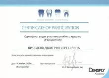 Киселев Дмитрий Сергеевич