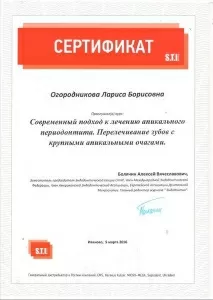 Огородникова Лариса Борисовна