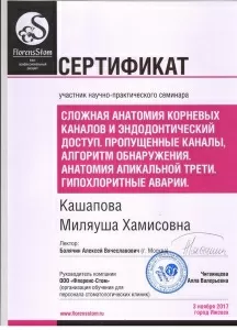 Кашапова Миляуша Хамисовна