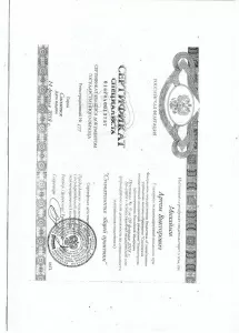 Михайлов Артем Викторович