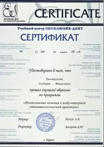 Хамидуллин Альберт Фанизович