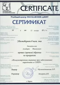 Хамидуллин Альберт Фанизович