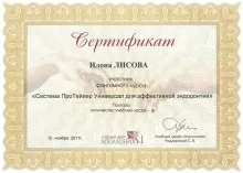 Лисова Илона Сергеевна