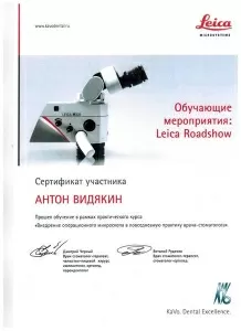 Видякин Антон Вячеславович