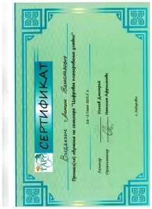 Видякин Антон Вячеславович