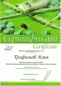 Трофимов Илья Андреевич