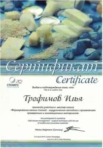 Трофимов Илья Андреевич