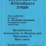 Тимченко Святослав Викторович