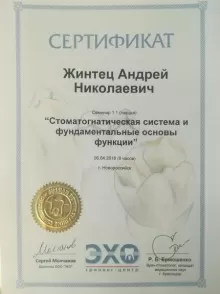 Жинтец Андрей Николаевич