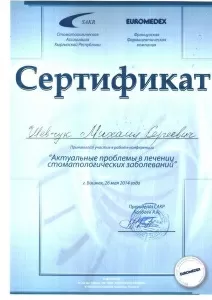 Шевчук Михаил Сергеевич