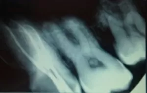 Мартыненко Софья Леонидовна