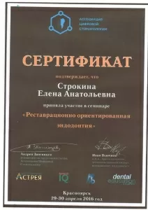 Строкина Елена Анатольевна