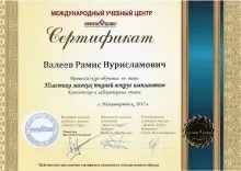 Валеев Рамис Нурисламович