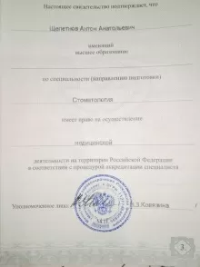 Щепетнов Антон Анатольевич