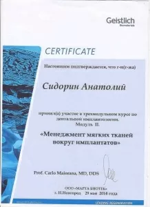 Сидорин Анатолий Николаевич