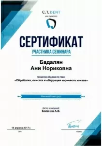 Бадалян Ани Нориковна