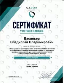 Васильев Владислав Владимирович