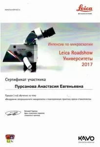 Пурсанова Анастасия Евгеньевна