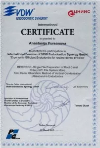 Пурсанова Анастасия Евгеньевна