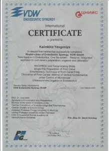 Калинкина Евгения Всеволодовна