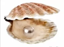 Бизунова Мария Яковлевна