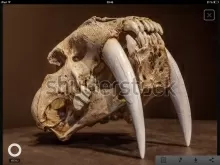 Бизунова Мария Яковлевна