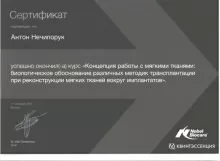 Нечипорук Антон Вячеславович