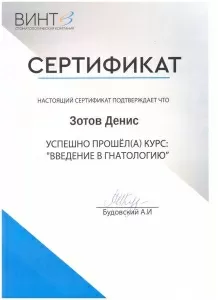 Зотов Денис Евгеньевич