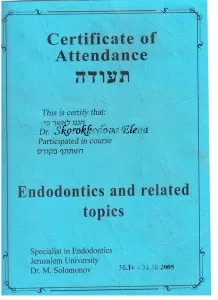 Скороходова Елена Анатольевна