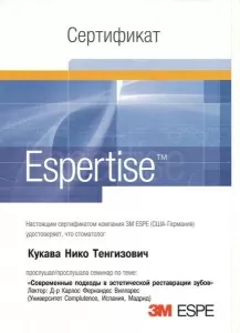 Кукава Нико Тенгизович