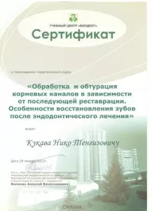 Кукава Нико Тенгизович