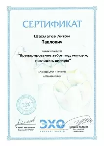 Шахматов Антон Павлович