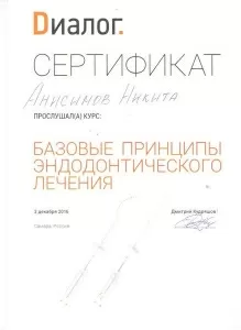 Анисимов Никита Алексеевич