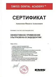 Анисимов Никита Алексеевич