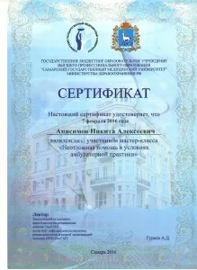 Анисимов Никита Алексеевич