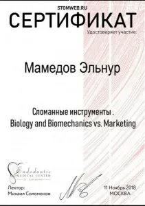 Мамедов Эльнур Элханович