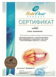 Черных Елена Ильинична