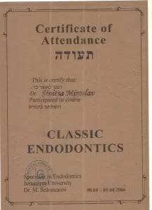 Синица Мирослав Витальевич