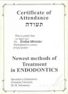 Синица Мирослав Витальевич