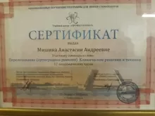 Мишина Анастасия Андреевна