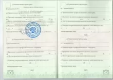 Хомякова Анжелика Николаевна