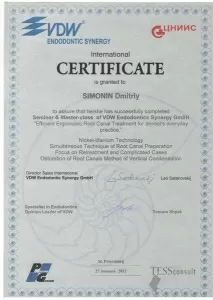 Симонин Дмитрий Геннадьевич