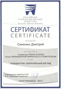 Симонин Дмитрий Геннадьевич