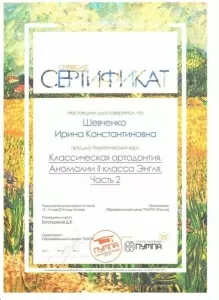 Шевченко Ирина Константиновна